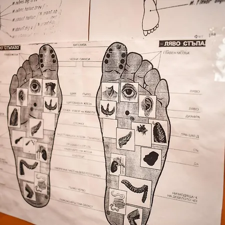 Pensjonat велина *