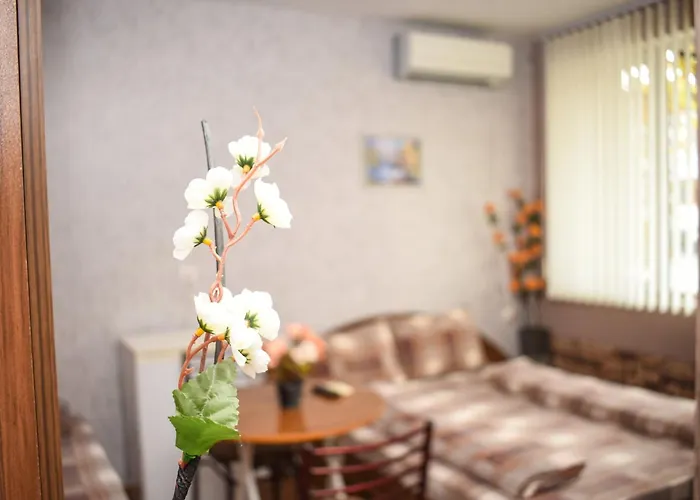 велина Къща за гости Павел баня